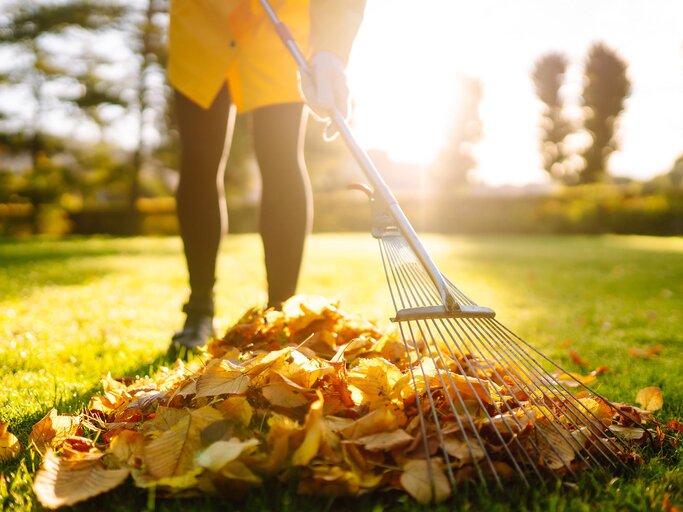 Frau beim Laubrechen im Garten  | © AdobeStock/Maxbelchenko