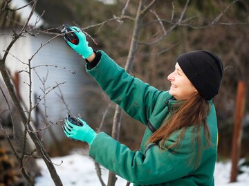 Frau schneidet Äste im Garten | © AdobeStock/natalialeb